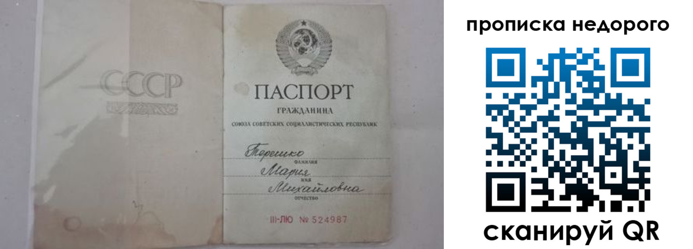 где прописаться в Малой Вишере